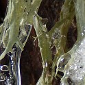 DSCN0537