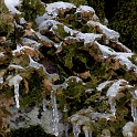 DSCN0540