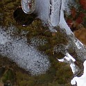 DSCN0541