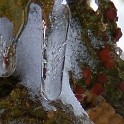 DSCN0541crop