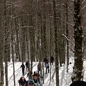 DSCN0548