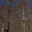 DSCN0549