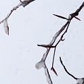 DSCN0554