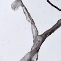 DSCN0555
