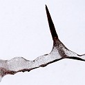 DSCN0556