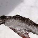 DSCN0557
