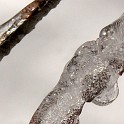 DSCN0559
