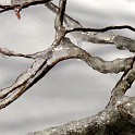 DSCN0561