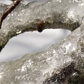 DSCN0562