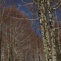 DSCN0563