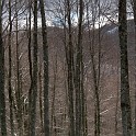 DSCN0567