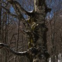 DSCN0568