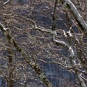 DSCN0569