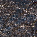 DSCN0571