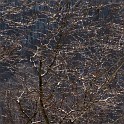 DSCN0572