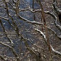DSCN0574