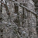 DSCN0576