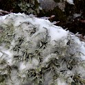 DSCN0577