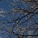 DSCN0579