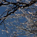 DSCN0579b