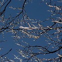 DSCN0580