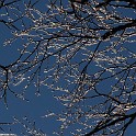 DSCN0581