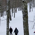 DSCN0595