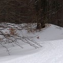 DSCN0624