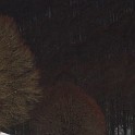 DSCN0624a