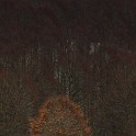 DSCN0624b