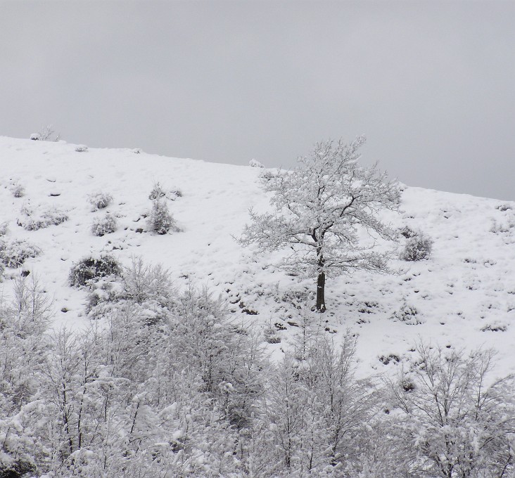 DSCN8608