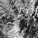 DSCN8605