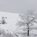 DSCN8608