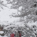 DSCN8613