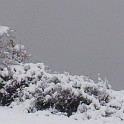 DSCN8618b