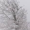 DSCN8621