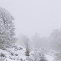 DSCN8625
