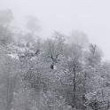 DSCN8626