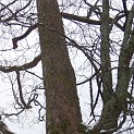 DSCN8639