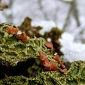 DSCN8657