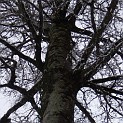 DSCN8670