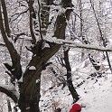 DSCN8675