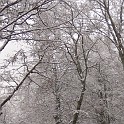 DSCN8676