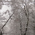 DSCN8677