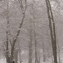 DSCN8679