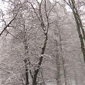 DSCN8680