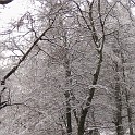 DSCN8681