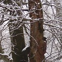DSCN8695
