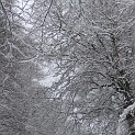 DSCN8703