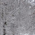 DSCN8704